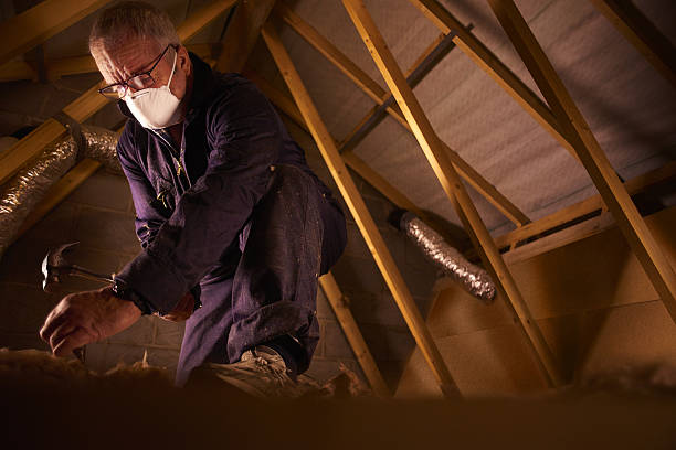 Best Insulation Maintenance and Repair in Chinchilla, PA